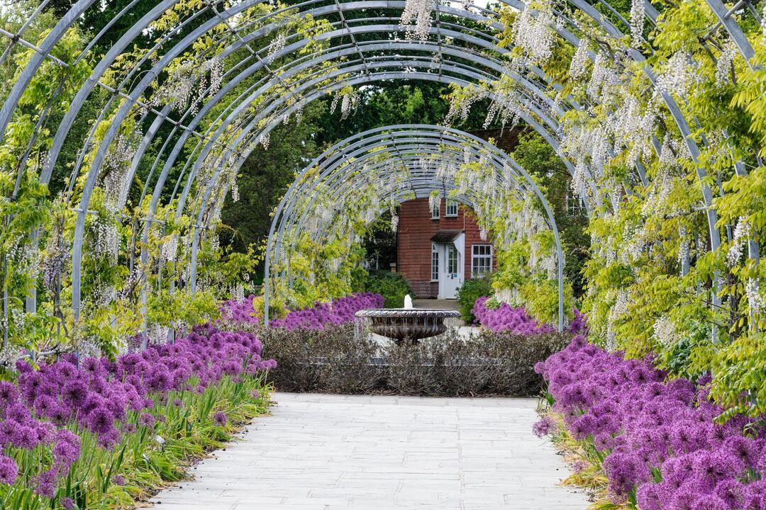 View down a wisteria walkway and to a large urn fountain