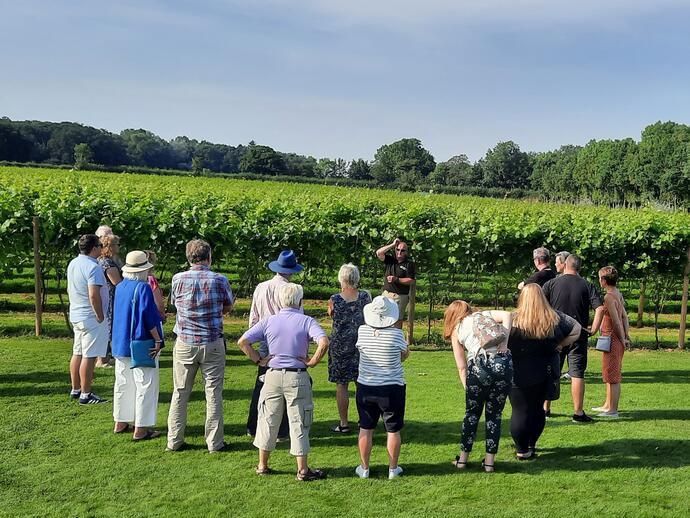 Un gruppo di turisti in un vigneto dello Yorkshire Heart Vineyard