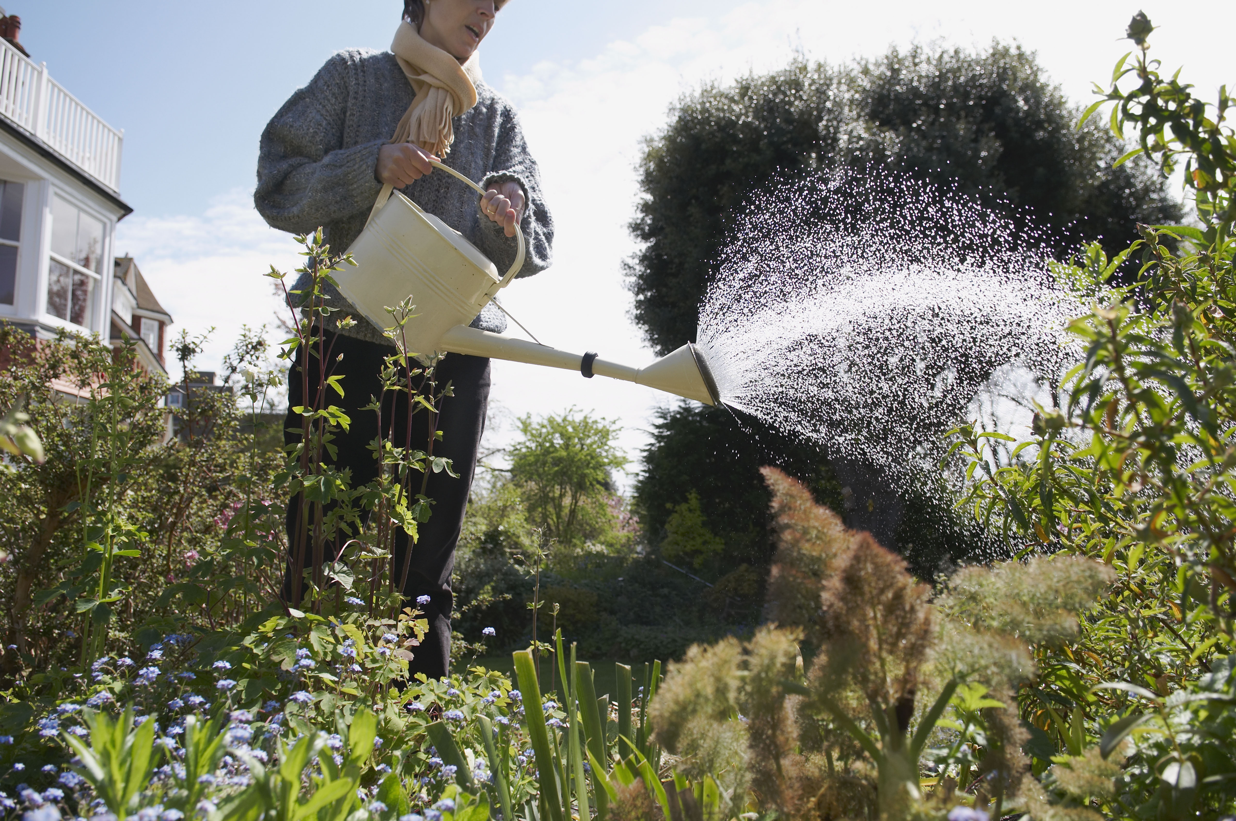 Woman watering a garden