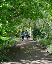 A couple walking along a tree shaded path in Hartsholme Country Park, Lincoln