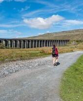Woman walking on a road towards a Viaduct
