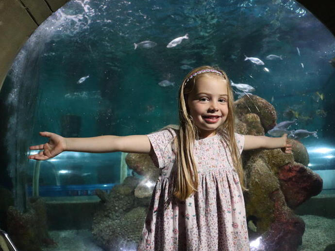 A child standing in front of fish in an aquarium