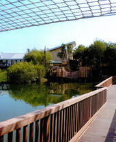 Una vista esterna del Whisby Nature Park a Lincoln