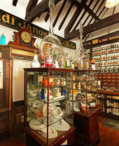 Exhibits on display in the Museum of Norwich at the Bridewell