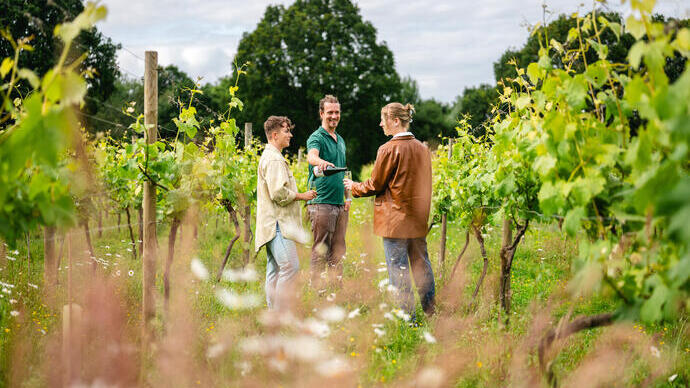 Deux femmes profitent d'une visite guidée d'un vignoble et d'une dégustation de vins