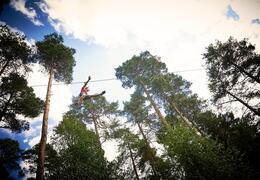 Go Ape Cannock Chase
