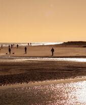 Aucun texte alternatif disponible.