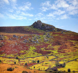 A rocky outcrop on a hill in a national park
