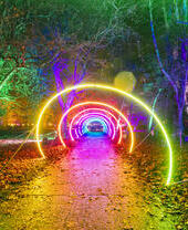 Colourful light installation across a path in a park at night