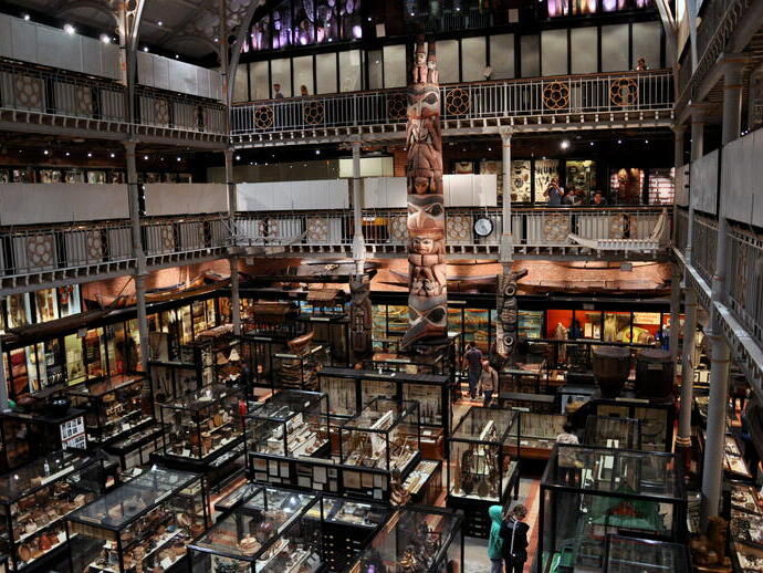 An overhead view of the exhibits and displays at the Pitt Rivers Museum in Oxford