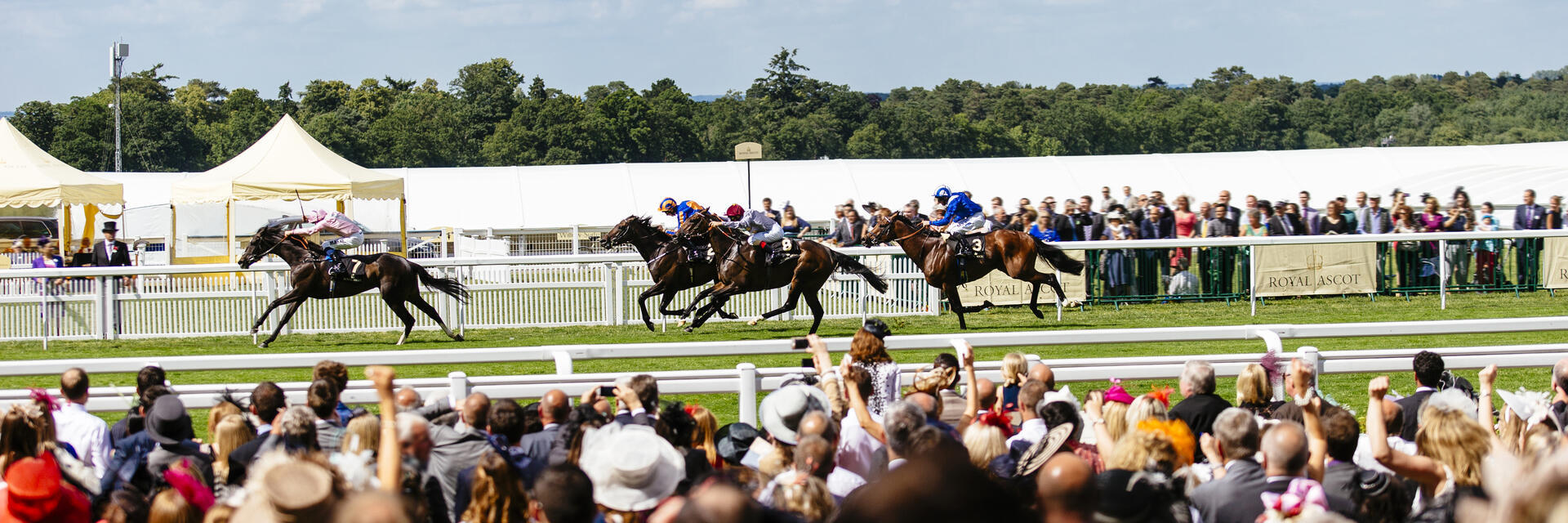Big group of spectators watching race. Racehorses galloping