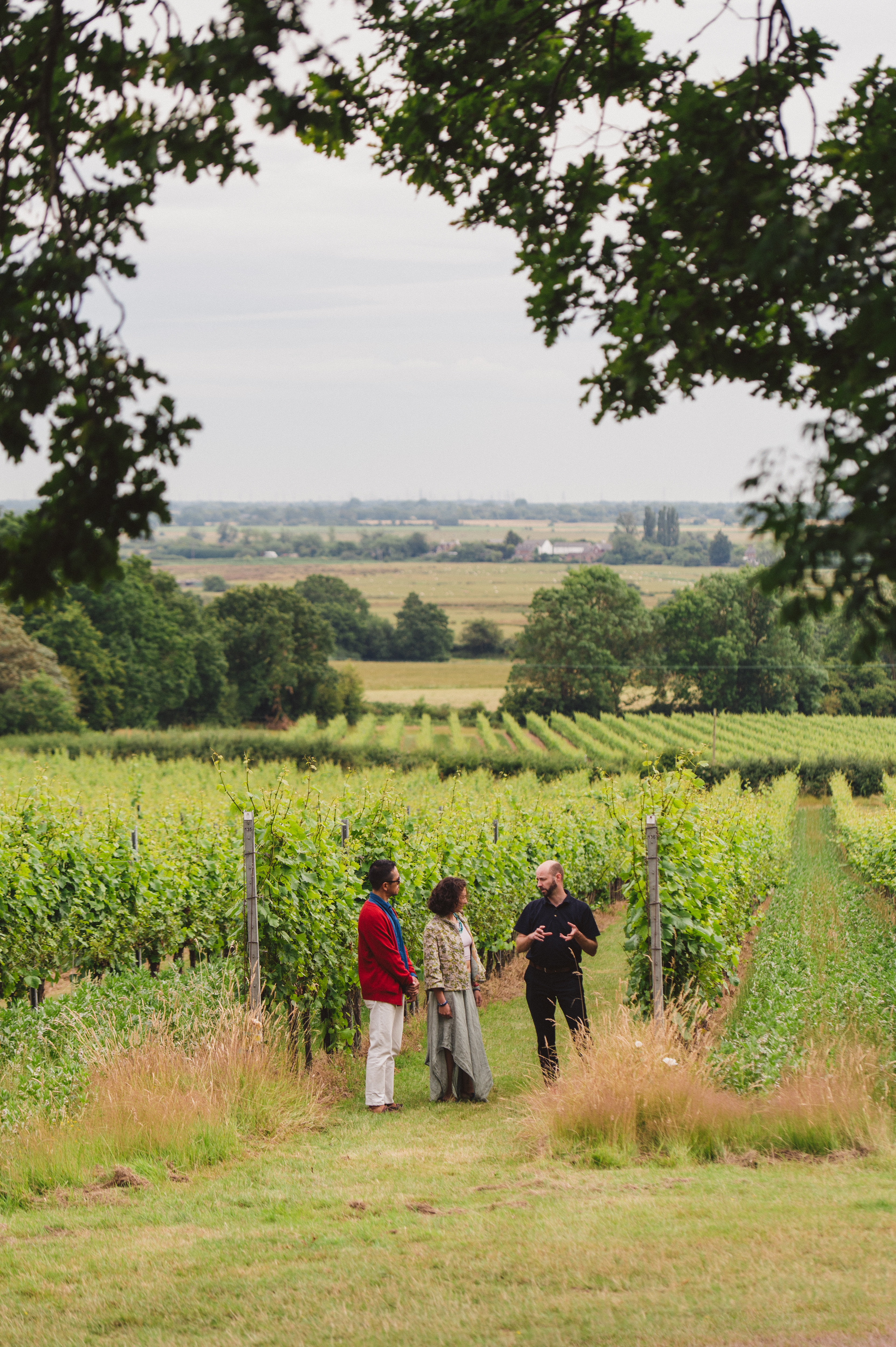 A man and a woman on a tour at a vineyard