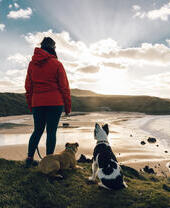 A woman and two dogs overlooking a sandy beach and the ocean.