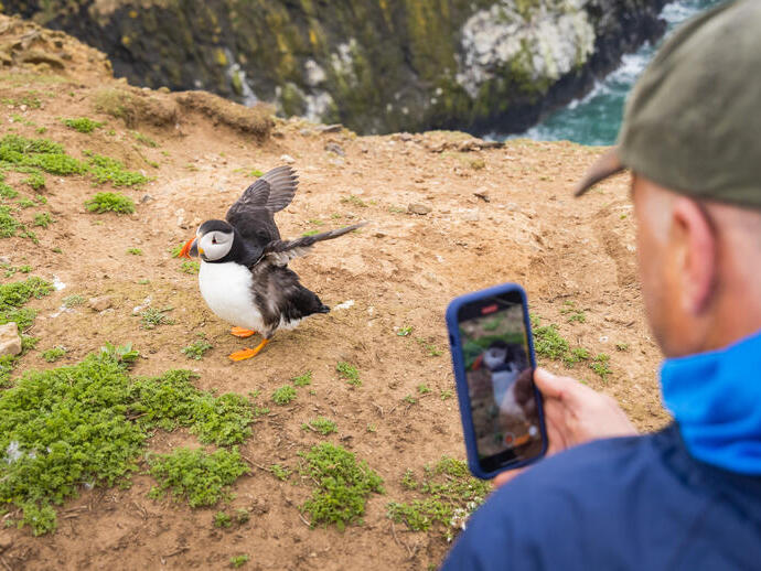 A man taking pictures of a puffin on a cliff