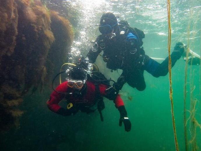 شخصان يمارسان الغوص