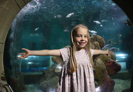 Blue Reef Aquarium