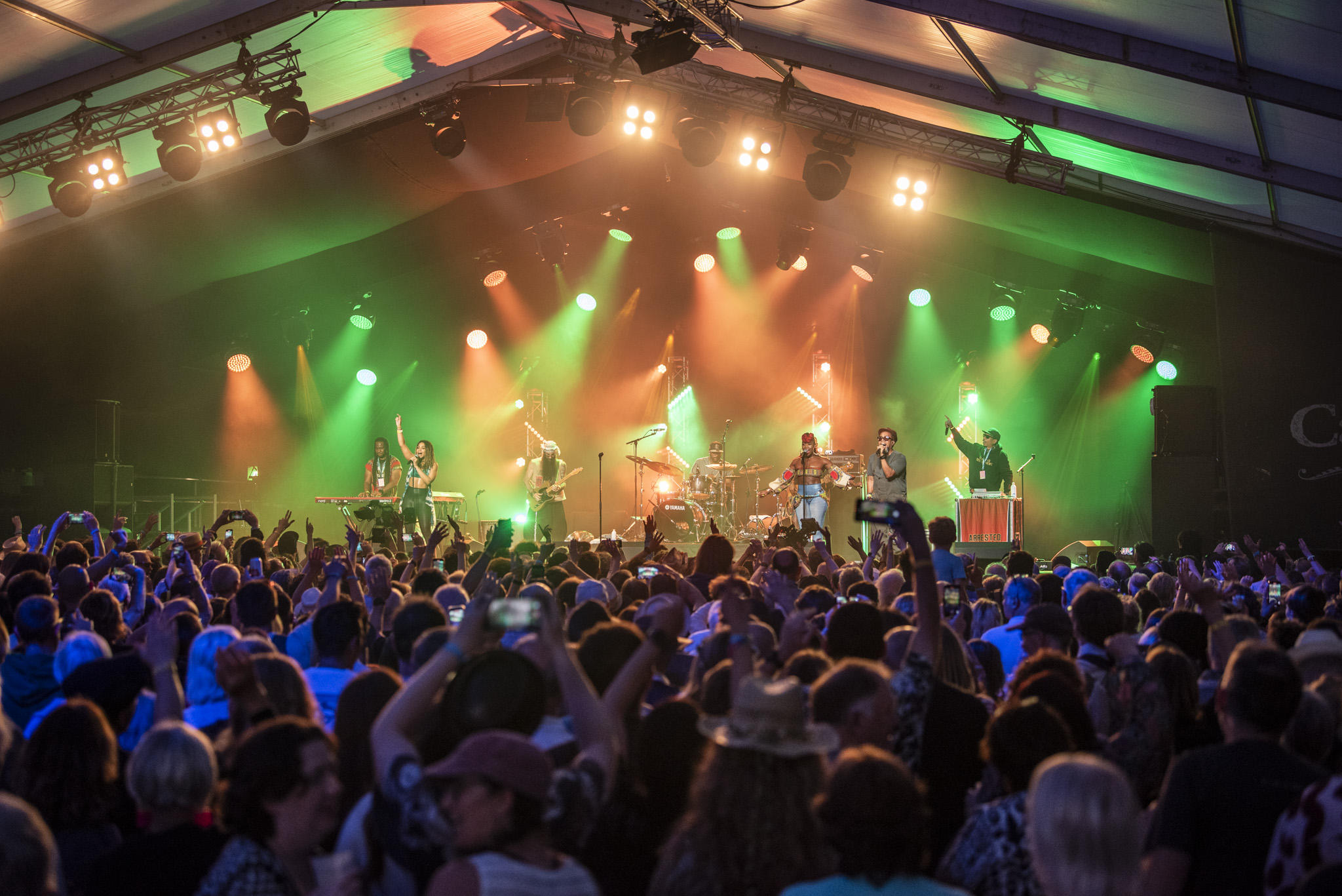 Rear view of crowd of people at a concert, band performing on stage