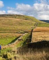Mujer con chaqueta morada y mochila azul caminando por el campo
