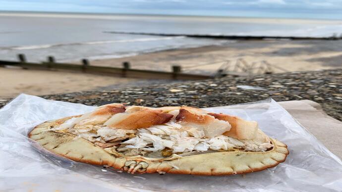 Un plato de comida de cangrejo sobre una servilleta con la playa y el mar al fondo
