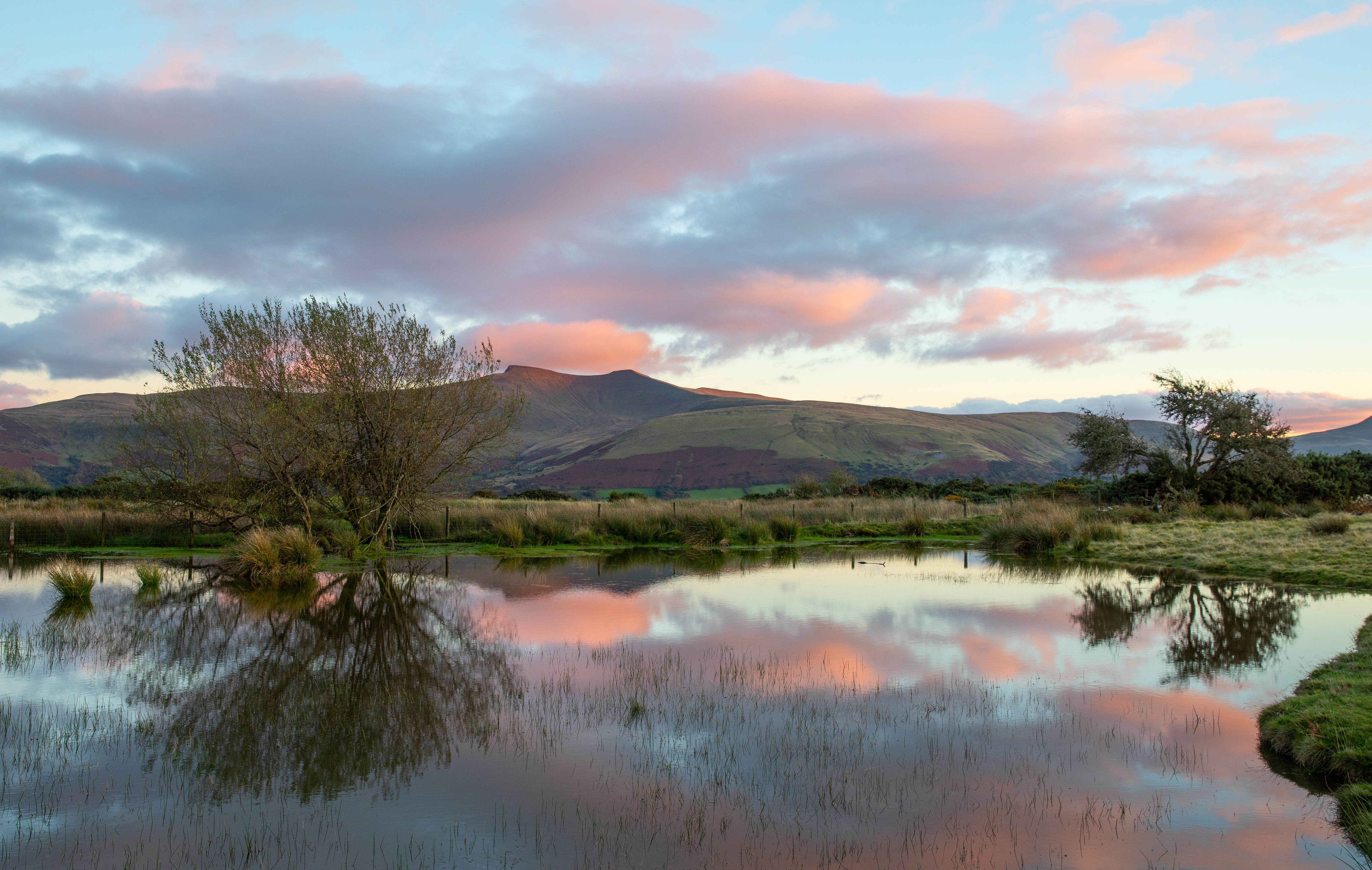 Mynydd Illtyd, near Libanus, Fforest Fawr UNESCO Global Geopark