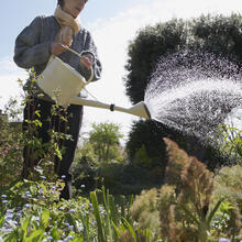 Woman watering a garden