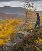 Senderismo en el Parque Nacional de Cairngorms