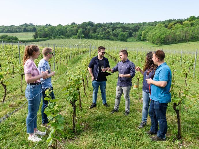 Grape and Grain Tours