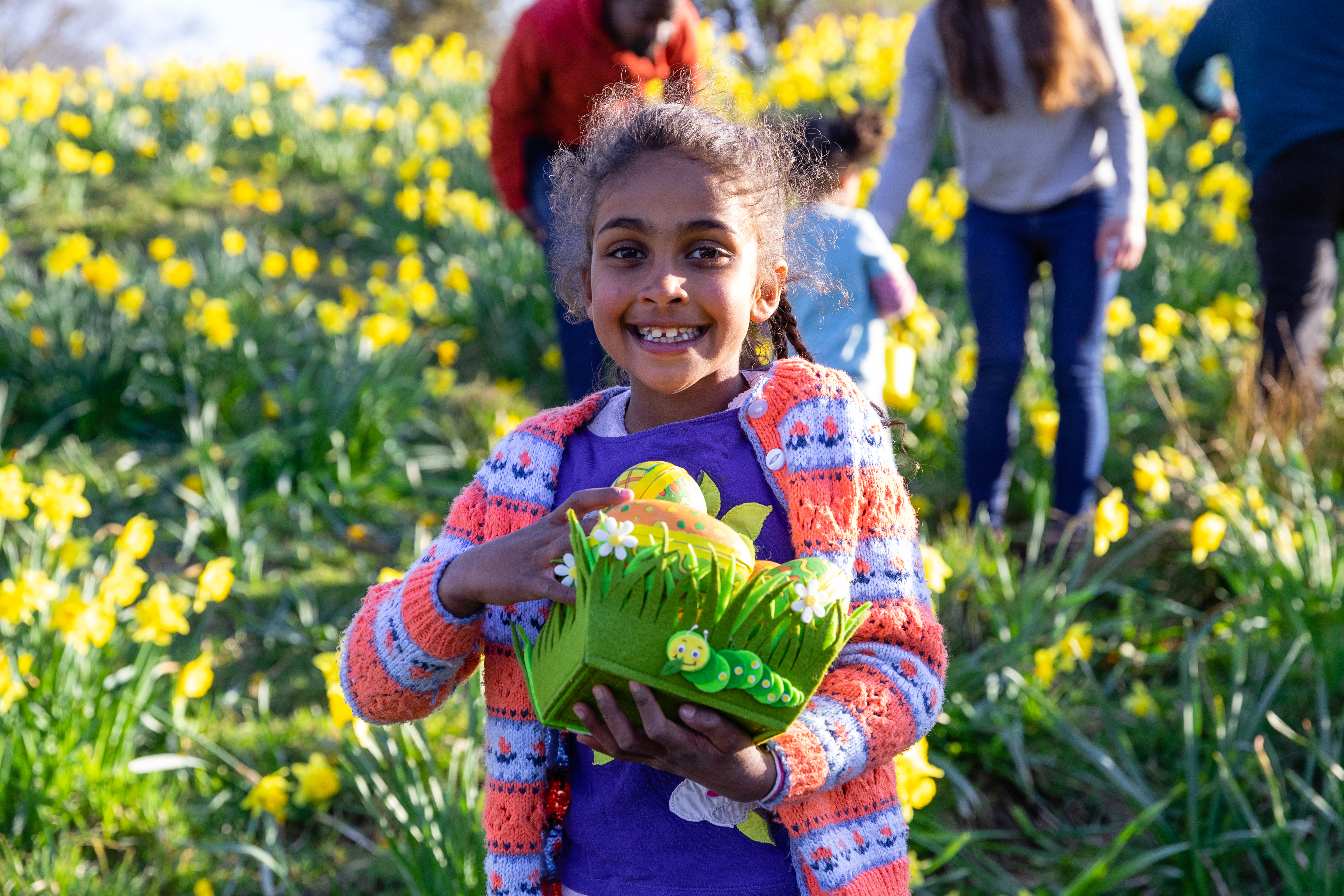 A girl standing in a field of daffodil flowers