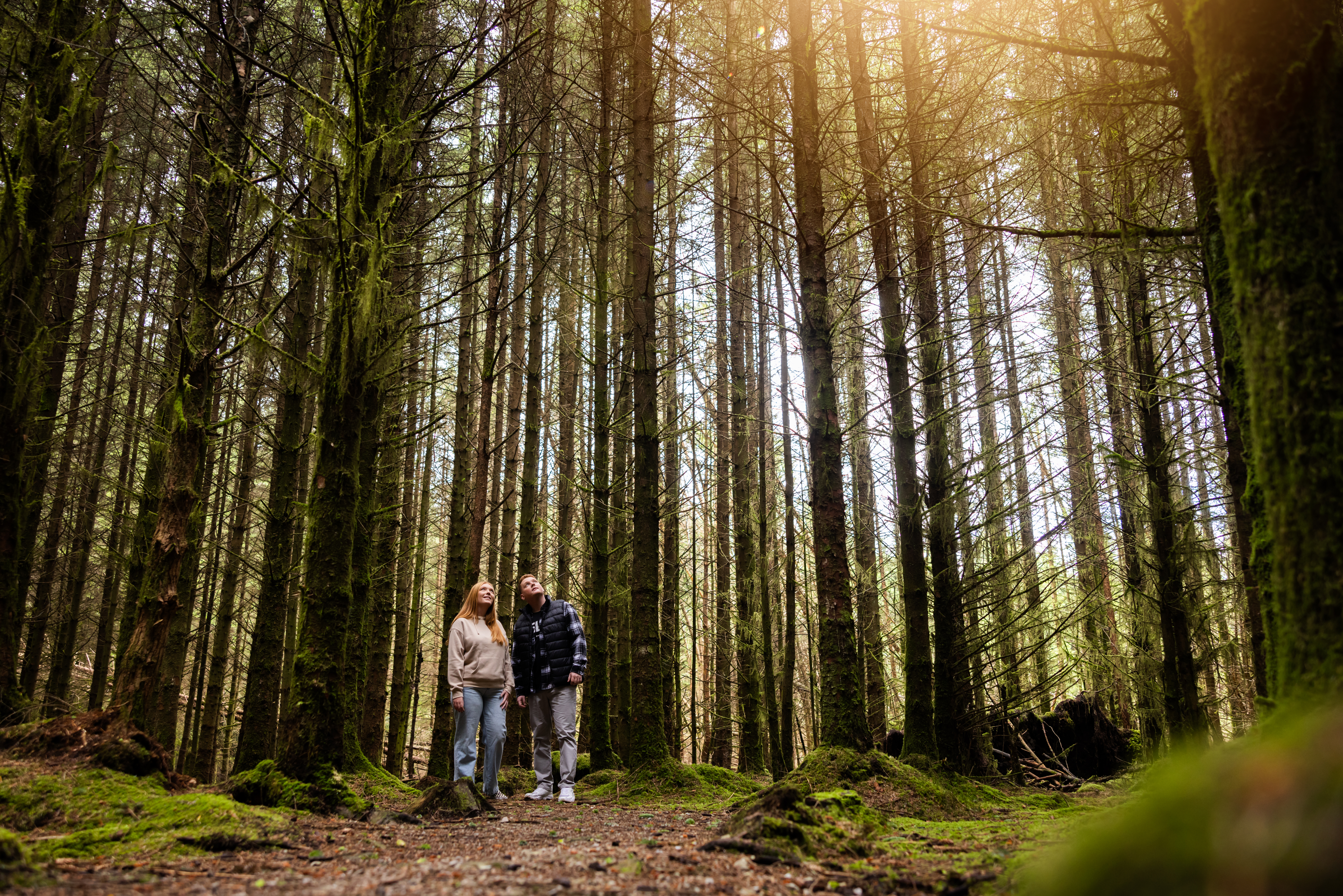 A man and a woman stand among tall trees in a forest