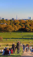 Sunny autumn view over a park with a city skyline in the background