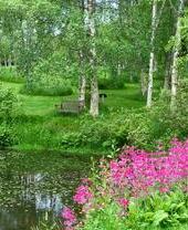 A pond surrounded by grass and flowers in Stone Lane Gardens, Exeter.