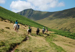 Cantref Adventure Farm