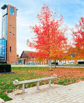 الواجهة الخارجية لمسرح في إحدى المدن