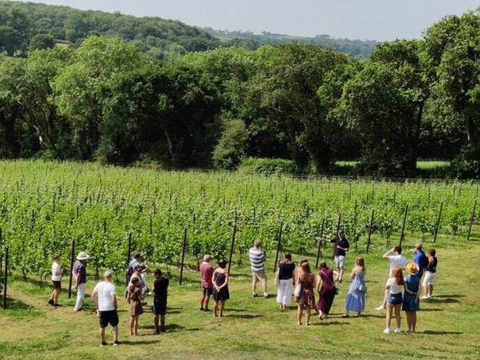Les vignobles du Pembrokeshire