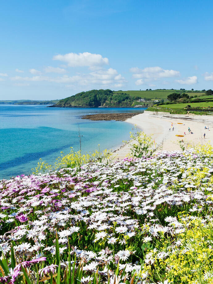 Flower fields leading up to a pretty beach and turquoise sea