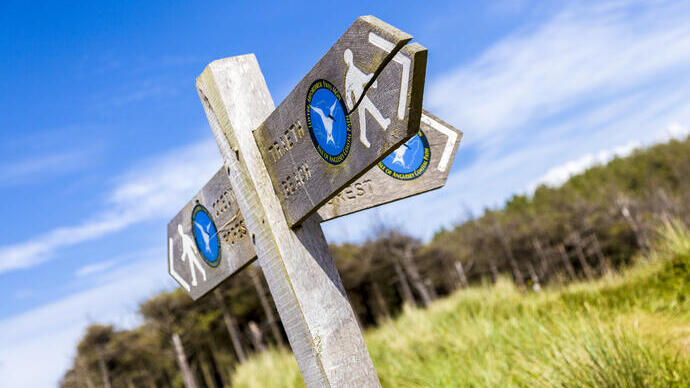 Wooden signpost on grass near a line of trees against blue sky