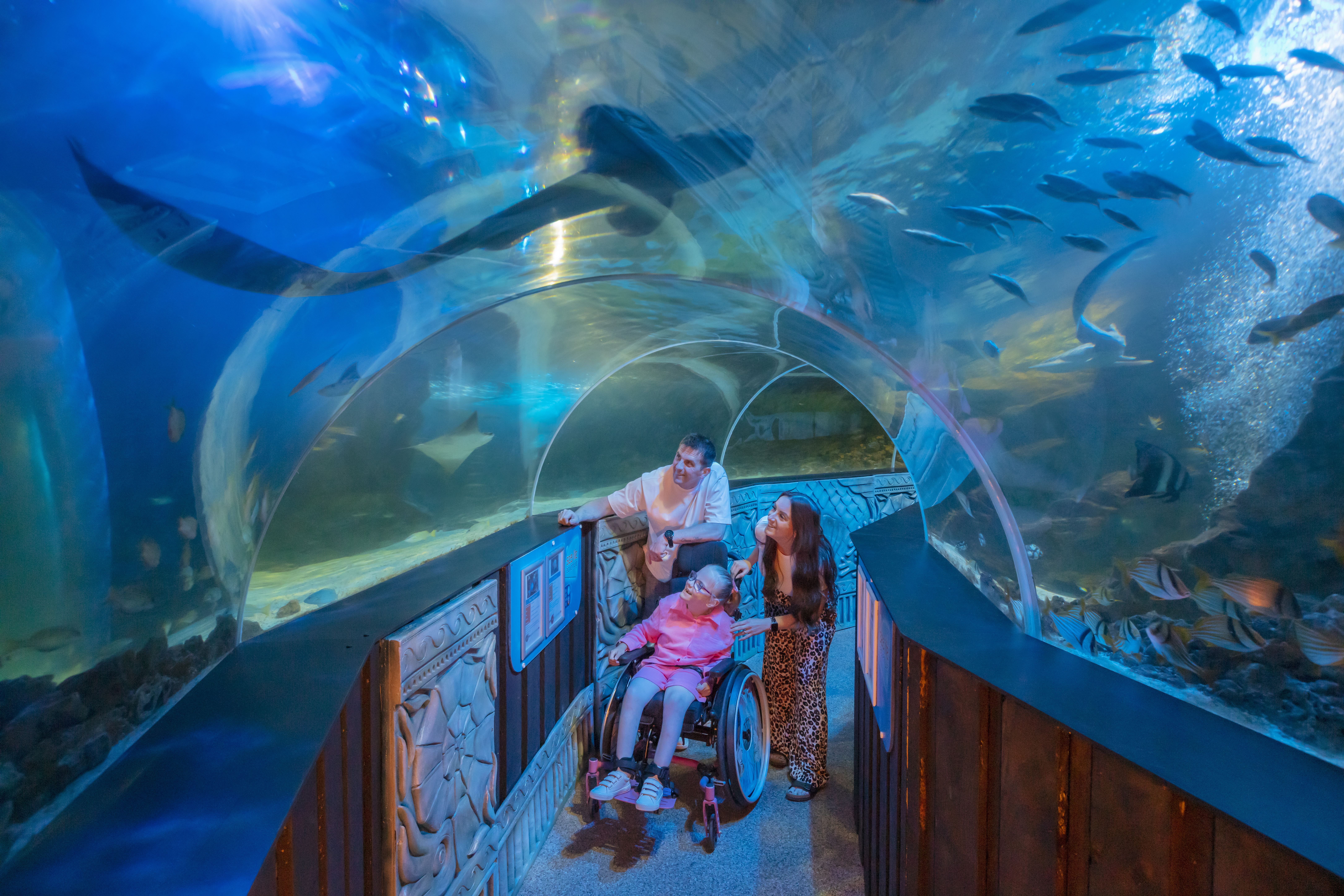 A man, woman and child in a wheelchair look up at sharks through a glass tunnel walkway