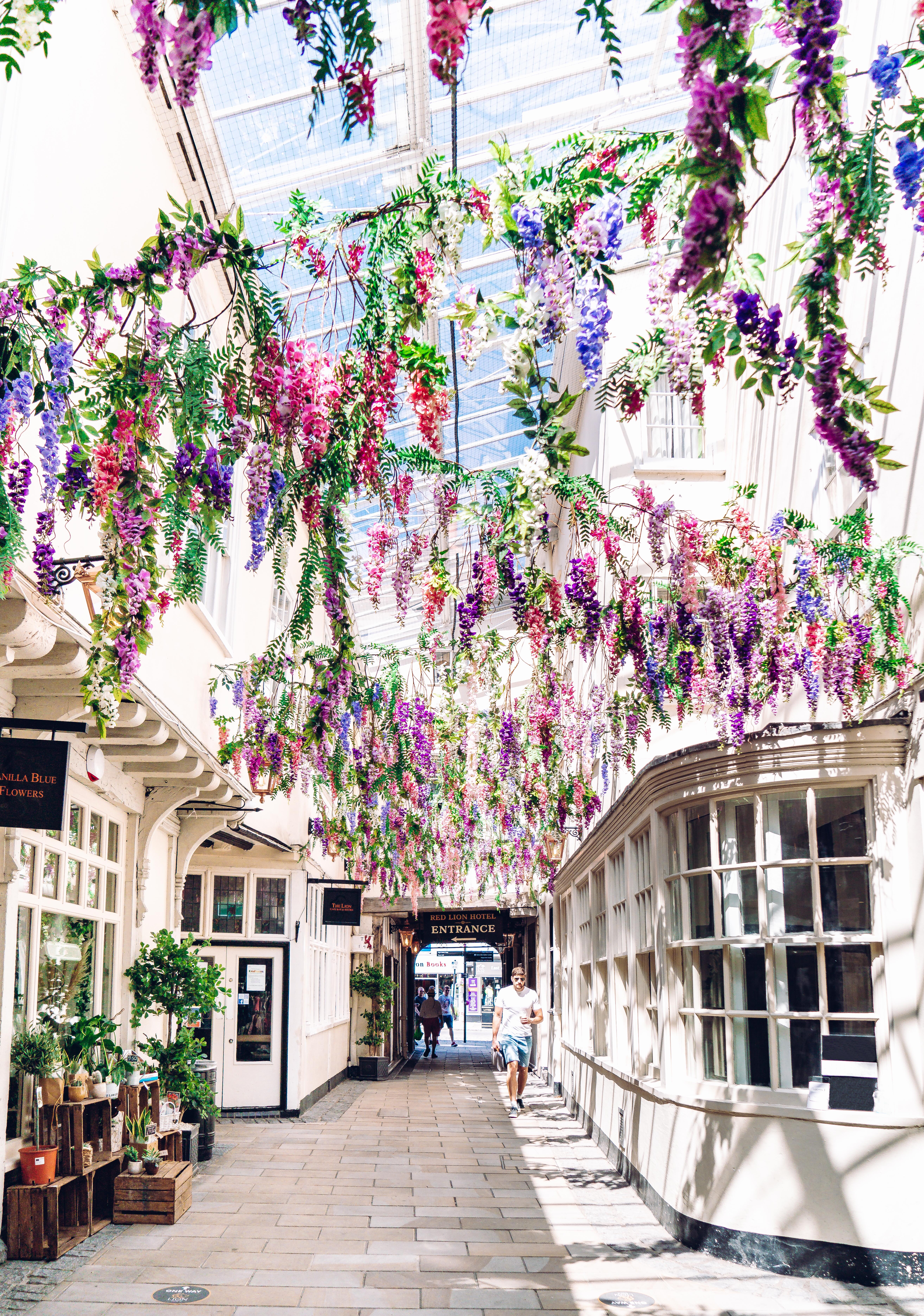 Homme marchant sous une arche recouverte de fleurs à Lion Walk, Colchester