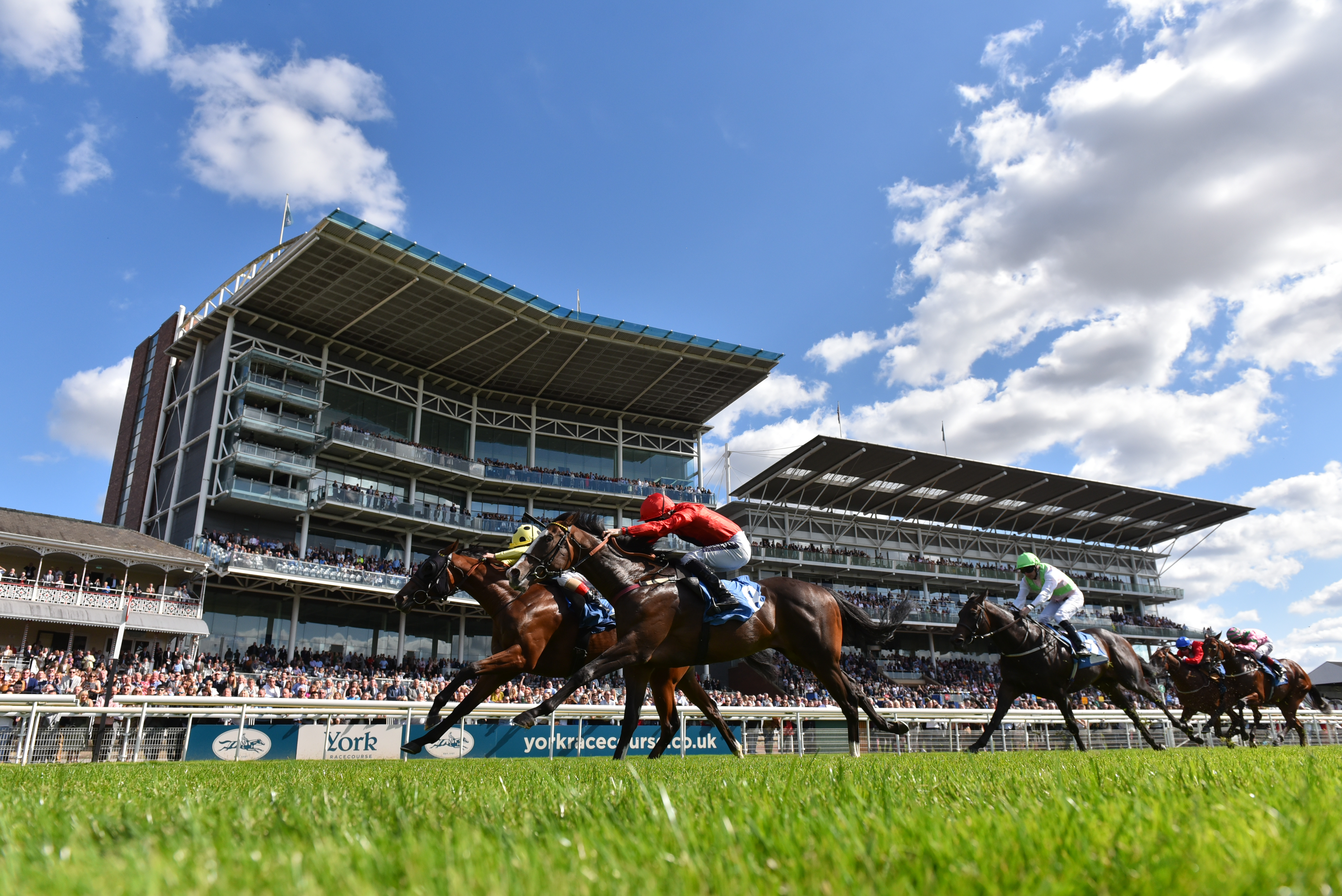 Horses racing past the grandstand at York Racecourse
