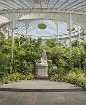 Glasgow Botanic Gardens