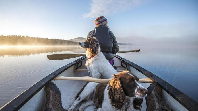 Woman in a rowing boat with two dogs on a lake