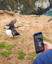 Un homme photographiant un macareux sur une falaise