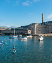 People paddleboarding near a dock in Plymouth