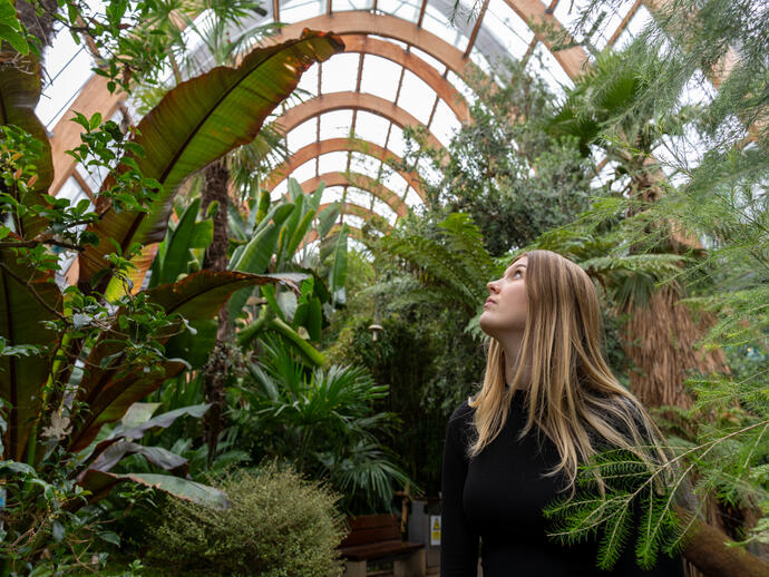 A person looking up while standing in a lush indoor greenhouse filled with various tropical plants and green foliage.