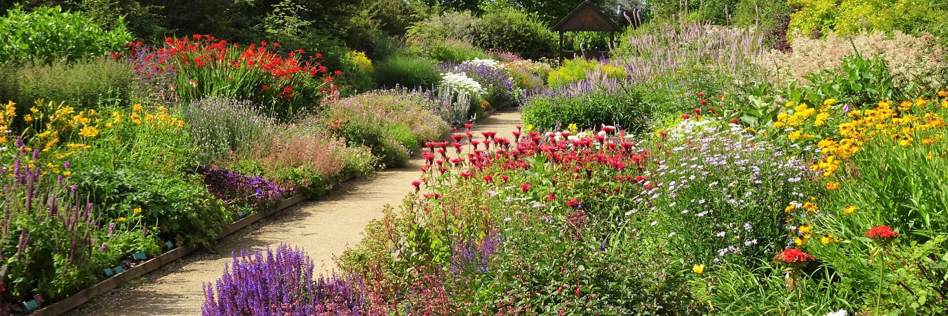 Ramos de flores creciendo en los jardines Breezy Knees de York