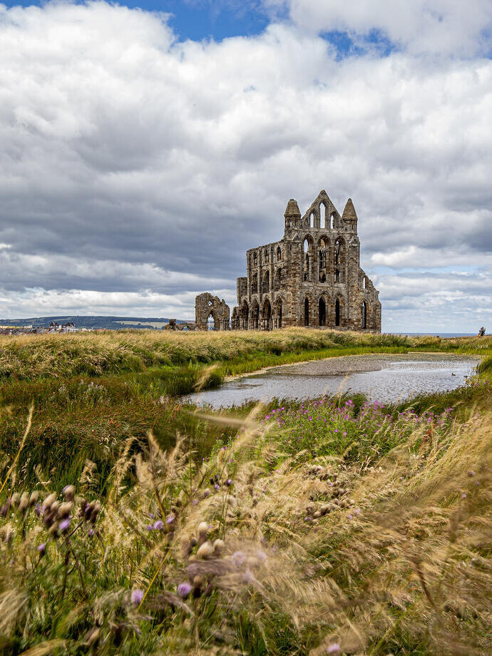 A view of Whitby Abbey from across nearby fields