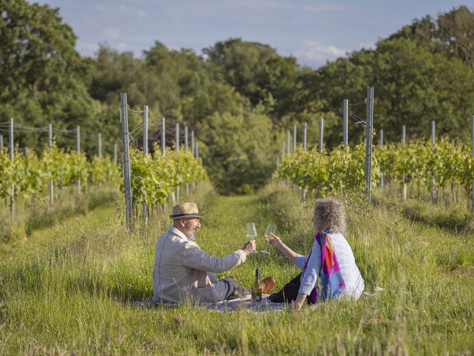 Un homme et une femme portent un toast dans un vignoble