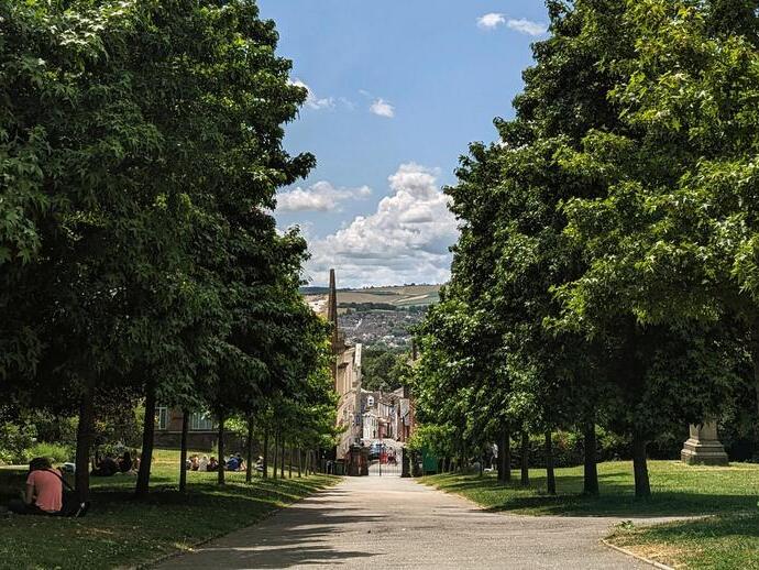 Trees and grass line a hilly path