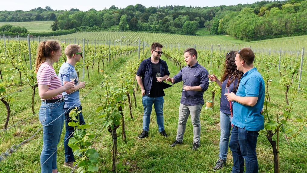 Grape and Grain Tours