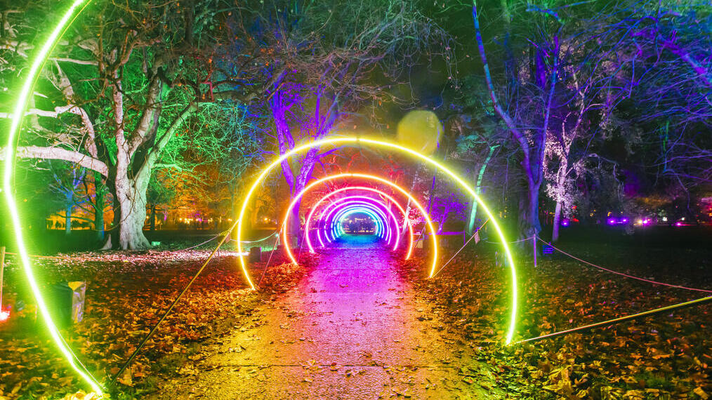 Colourful light installation across a path in a park at night